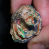 Australian Opal Rough, Lightning Ridge Fossil