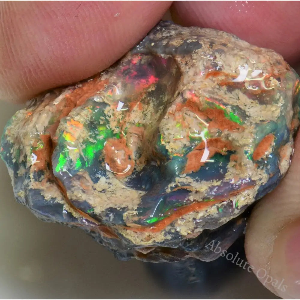 Branch Wood opal