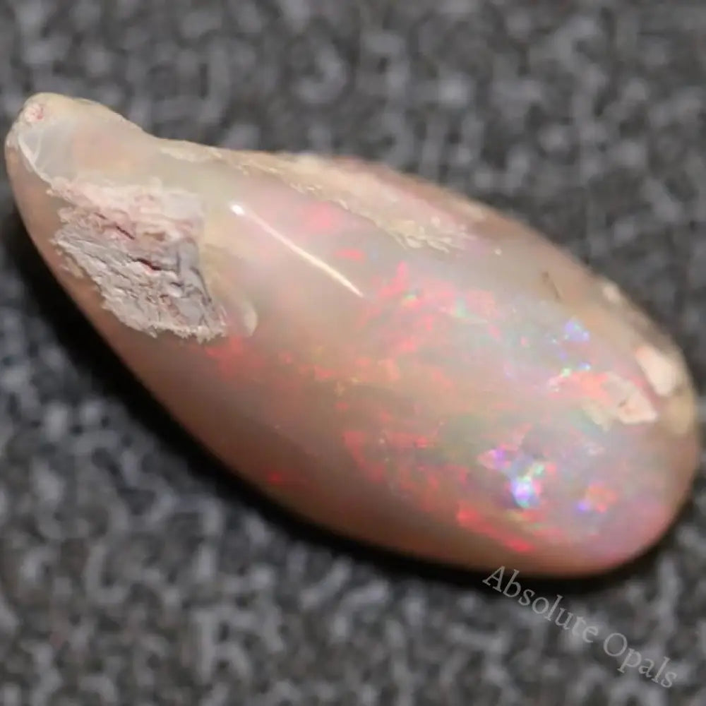 6.0 Cts Australian Opal Rough Lightning Ridge Wood Fossil Polished Specimen