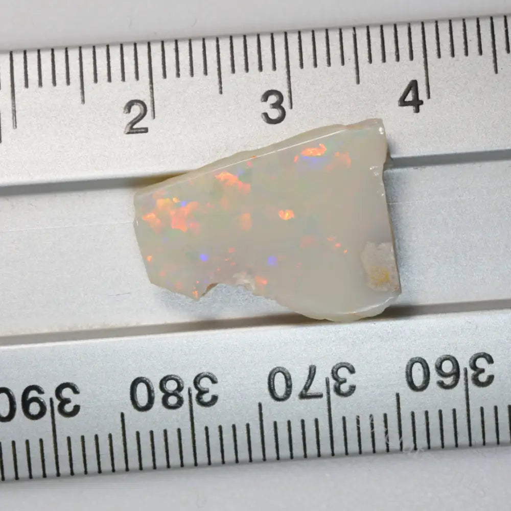 Opal Rough Lightning Ridge Polished Specimen