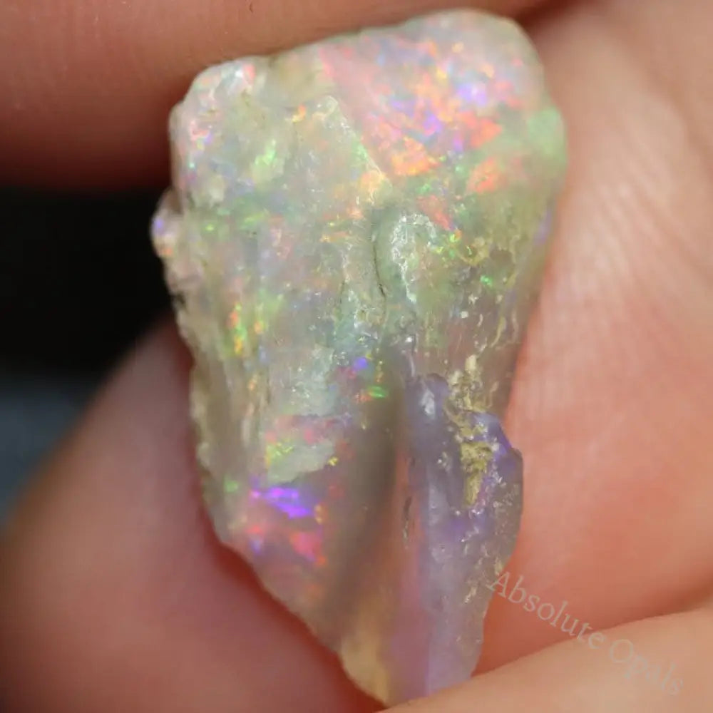 6.1 Cts Australian Opal Rough Lightning Ridge Wood Fossil Polished Specimen