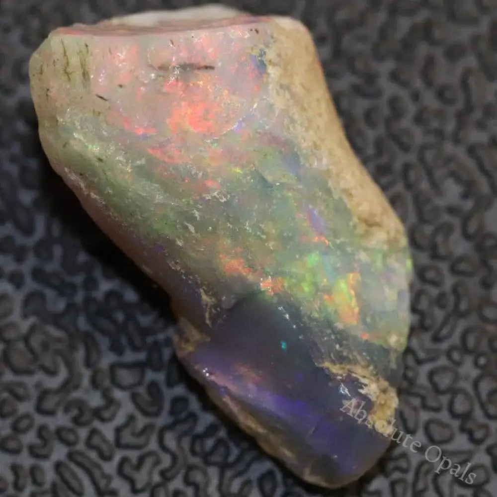 6.1 Cts Australian Opal Rough Lightning Ridge Wood Fossil Polished Specimen