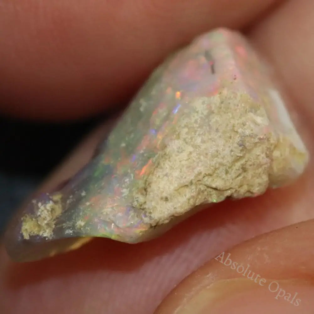 6.1 Cts Australian Opal Rough Lightning Ridge Wood Fossil Polished Specimen