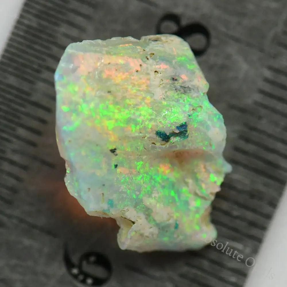 6.68 Cts Australian Opal Rough Lightning Ridge Wood Fossil Polished Specimen