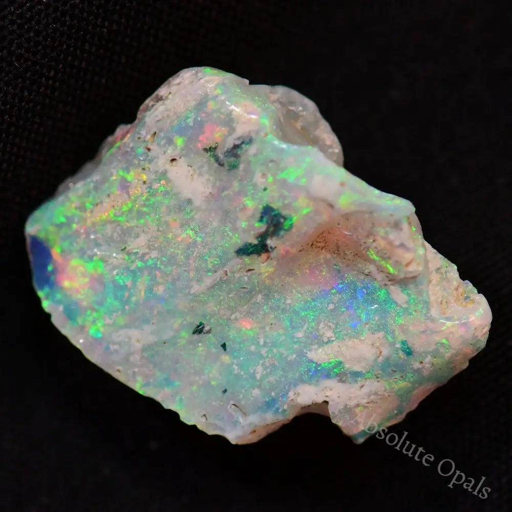 6.68 Cts Australian Opal Rough Lightning Ridge Wood Fossil Polished Specimen