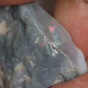 64.05 Cts Australian Lightning Ridge Black Opal Rough For Carving