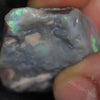 64.05 Cts Australian Lightning Ridge Black Opal Rough For Carving