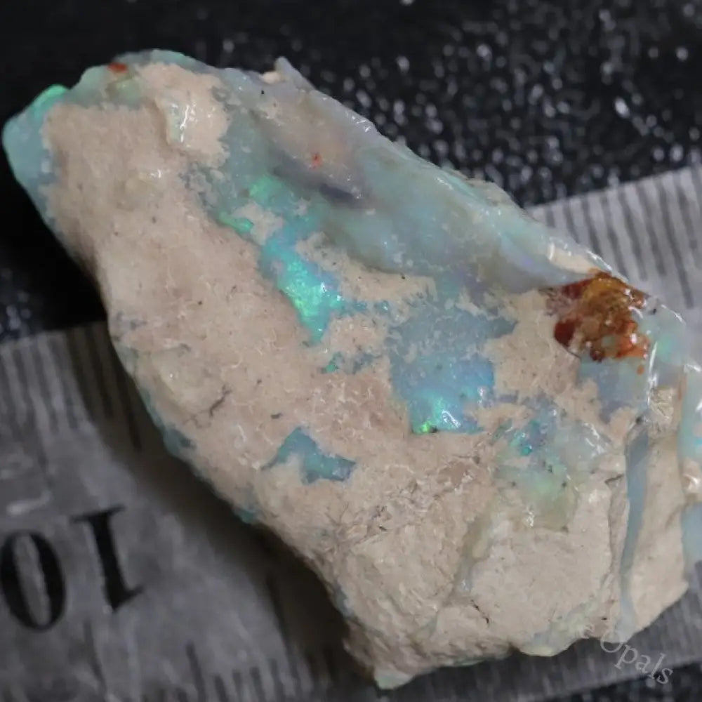 64.20 Cts Australian Lightning Ridge Opal Rough For Carving