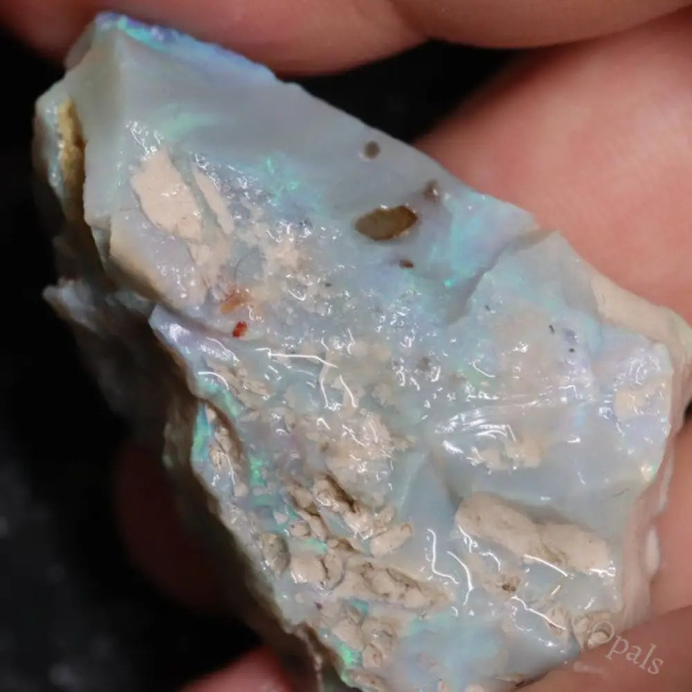 64.20 Cts Australian Lightning Ridge Opal Rough For Carving