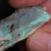 64.20 Cts Australian Lightning Ridge Opal Rough For Carving