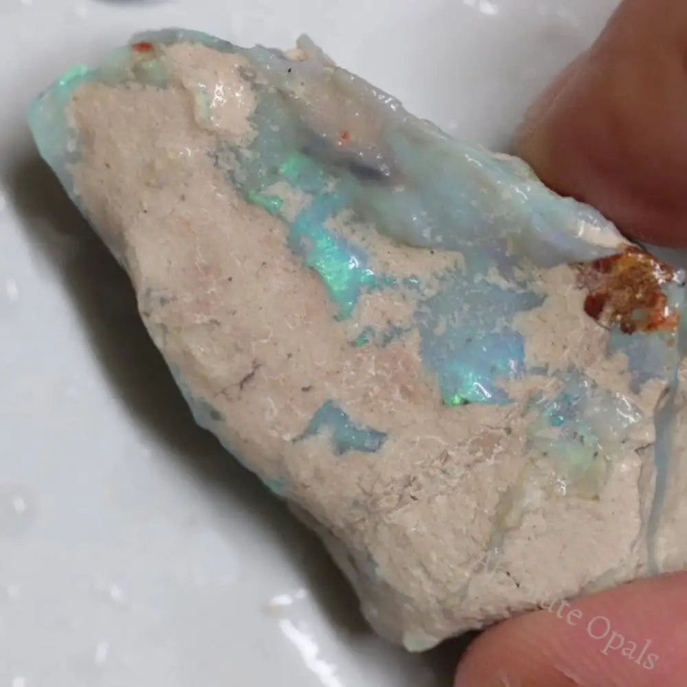 64.20 Cts Australian Lightning Ridge Opal Rough For Carving