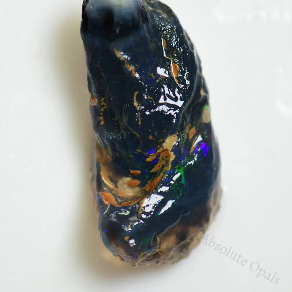 Australian Opal Rough, Lightning Ridge Wood Fossil