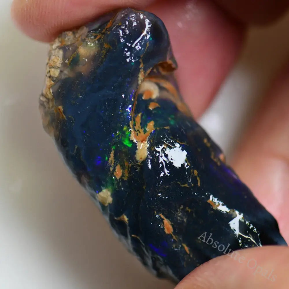 64.7 Cts Australian Opal Rough Lightning Ridge Wood Fossil