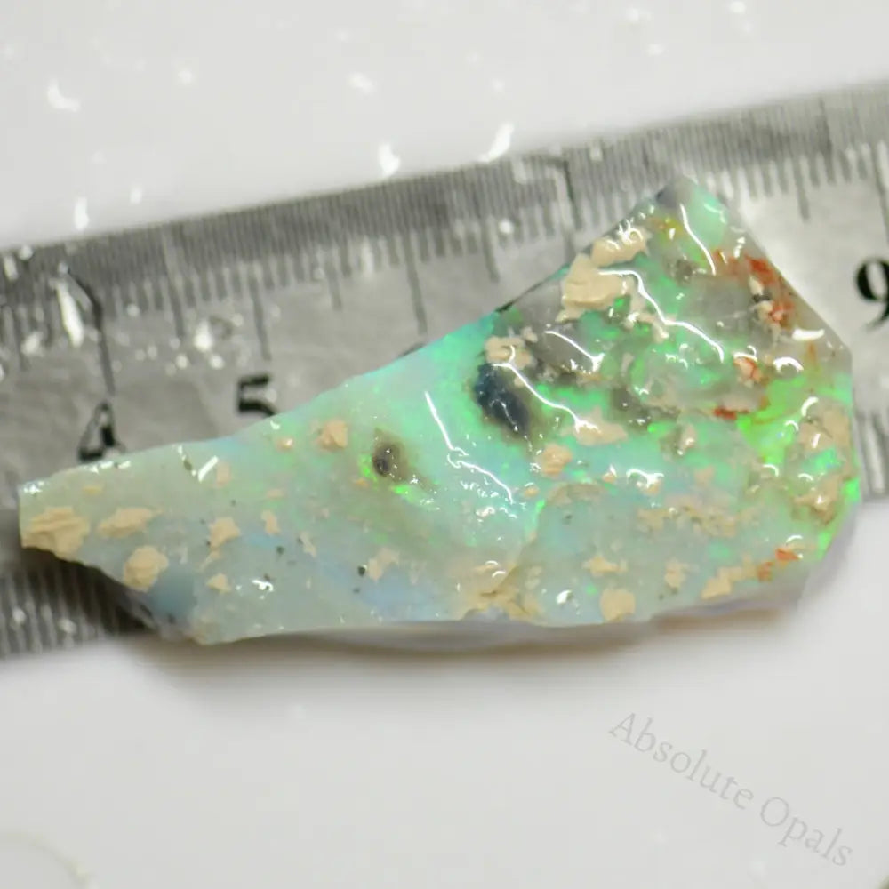 65.8 Cts Australian Rough Opal For Carving