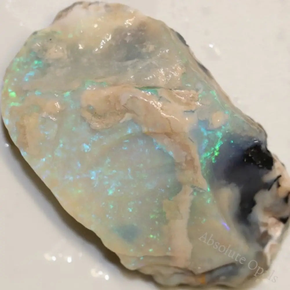 66.95 Cts Single Opal Rough 42.9X26.0X14.1Mm