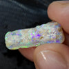 Australian Opal Rough, Lightning Ridge Fossil