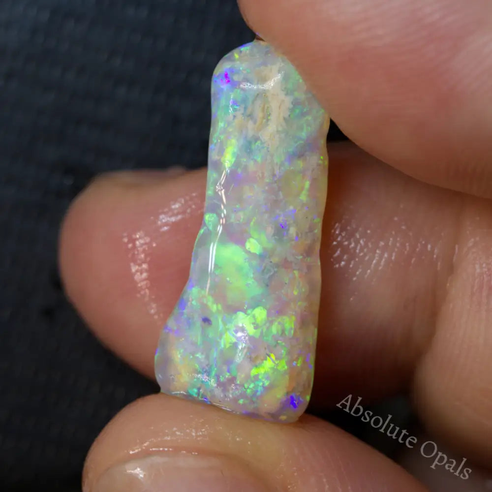 opal fossil