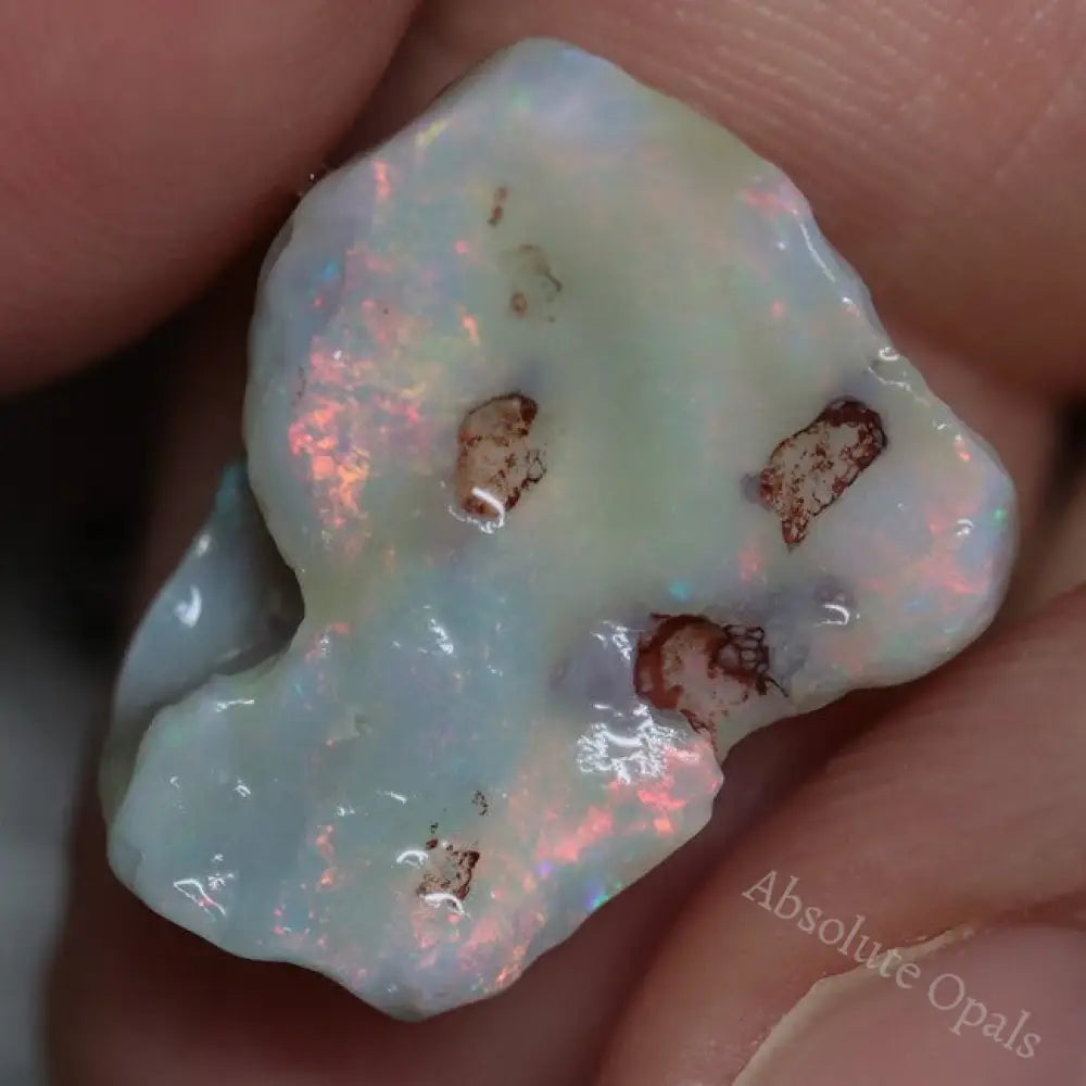 Single Opal Rough for Carving