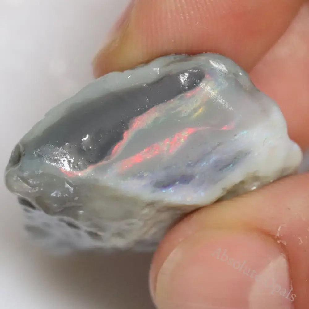 75.7 Cts Australian Lightning Ridge Black Opal Rough For Carving