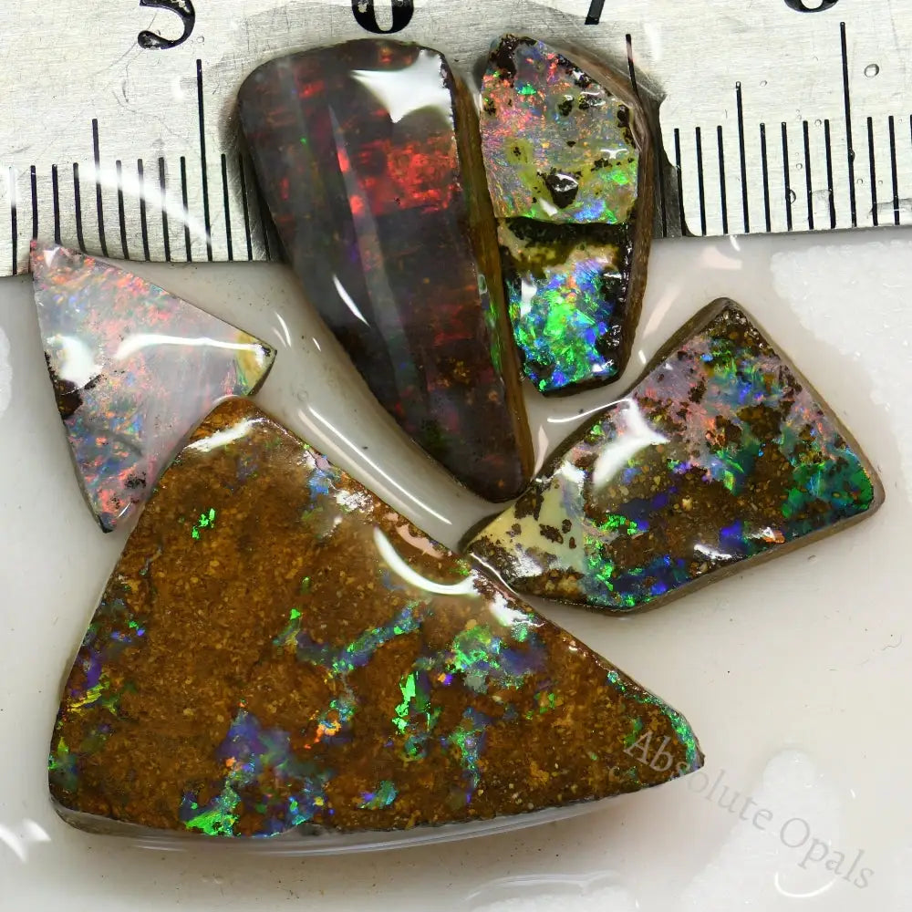 Australian Boulder Opal Rough Parcel