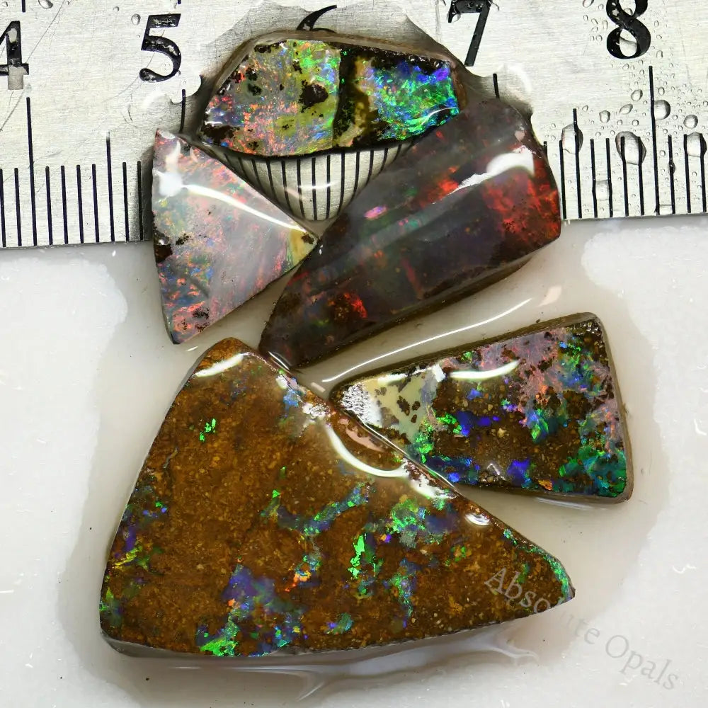 Australian Boulder Opal Rough Parcel