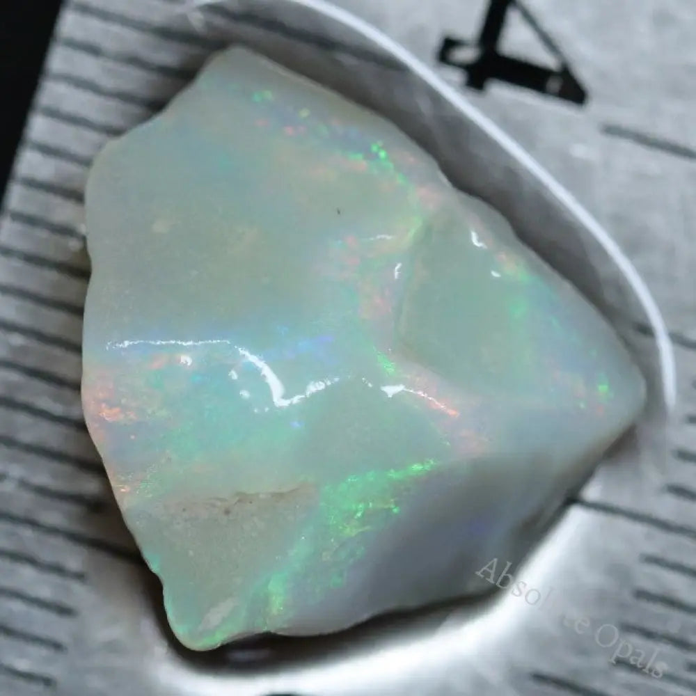 8.0 Cts Single Opal Rough For Carving 16.0X14.6X8.0Mm