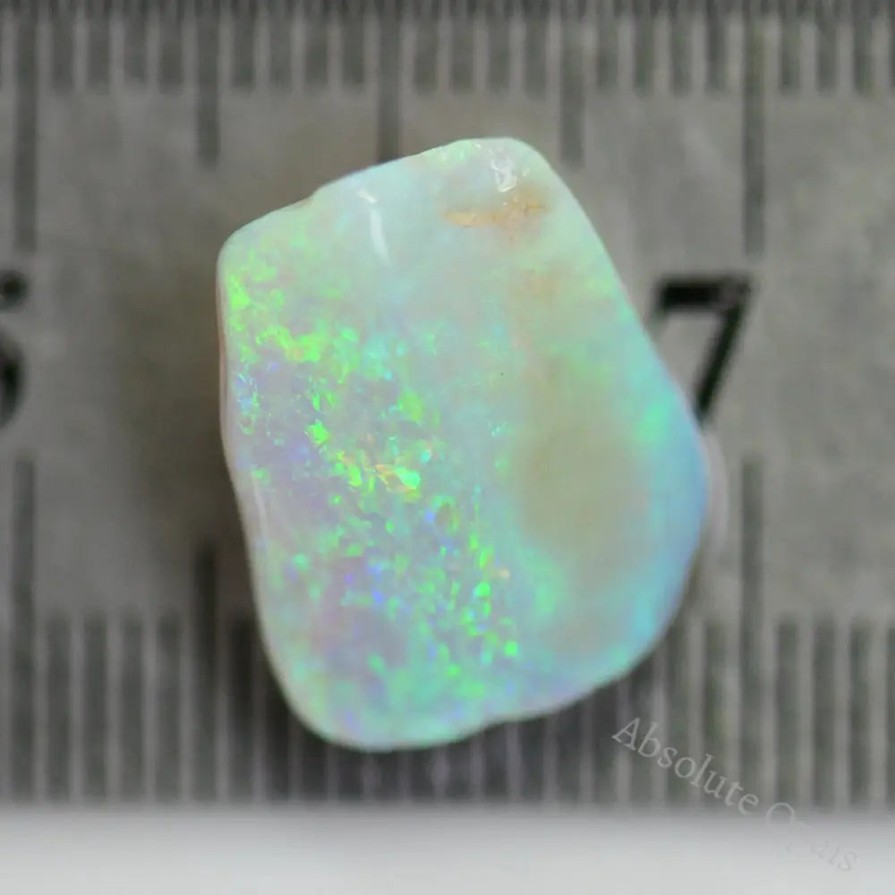 8.1 Cts Australian Single Rough Opal Rub Lightning Ridge