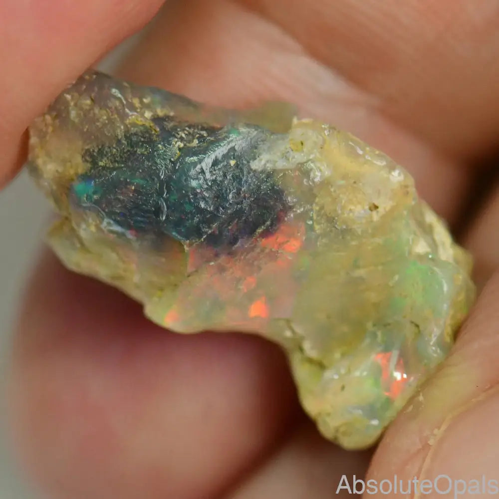 8.43 Cts Australian Opal Rough Lightning Ridge Wood Fossil Polished Specimen