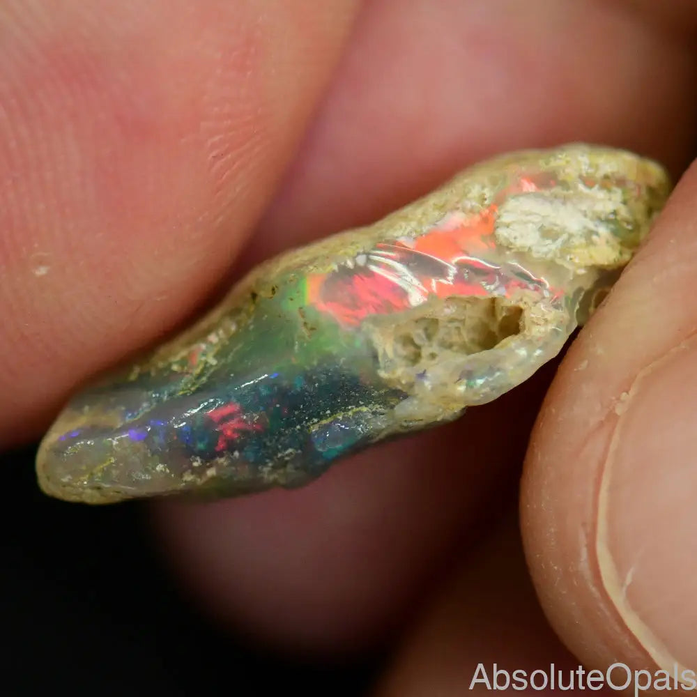 Australian Opal Rough Lightning Ridge Wood Fossil Polished Specimen