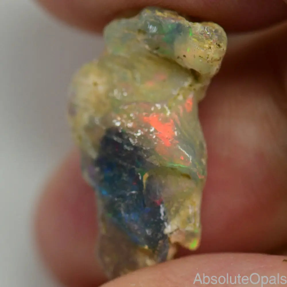 8.43 Cts Australian Opal Rough Lightning Ridge Wood Fossil Polished Specimen