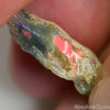 Australian Opal Rough Lightning Ridge Wood Fossil Polished Specimen