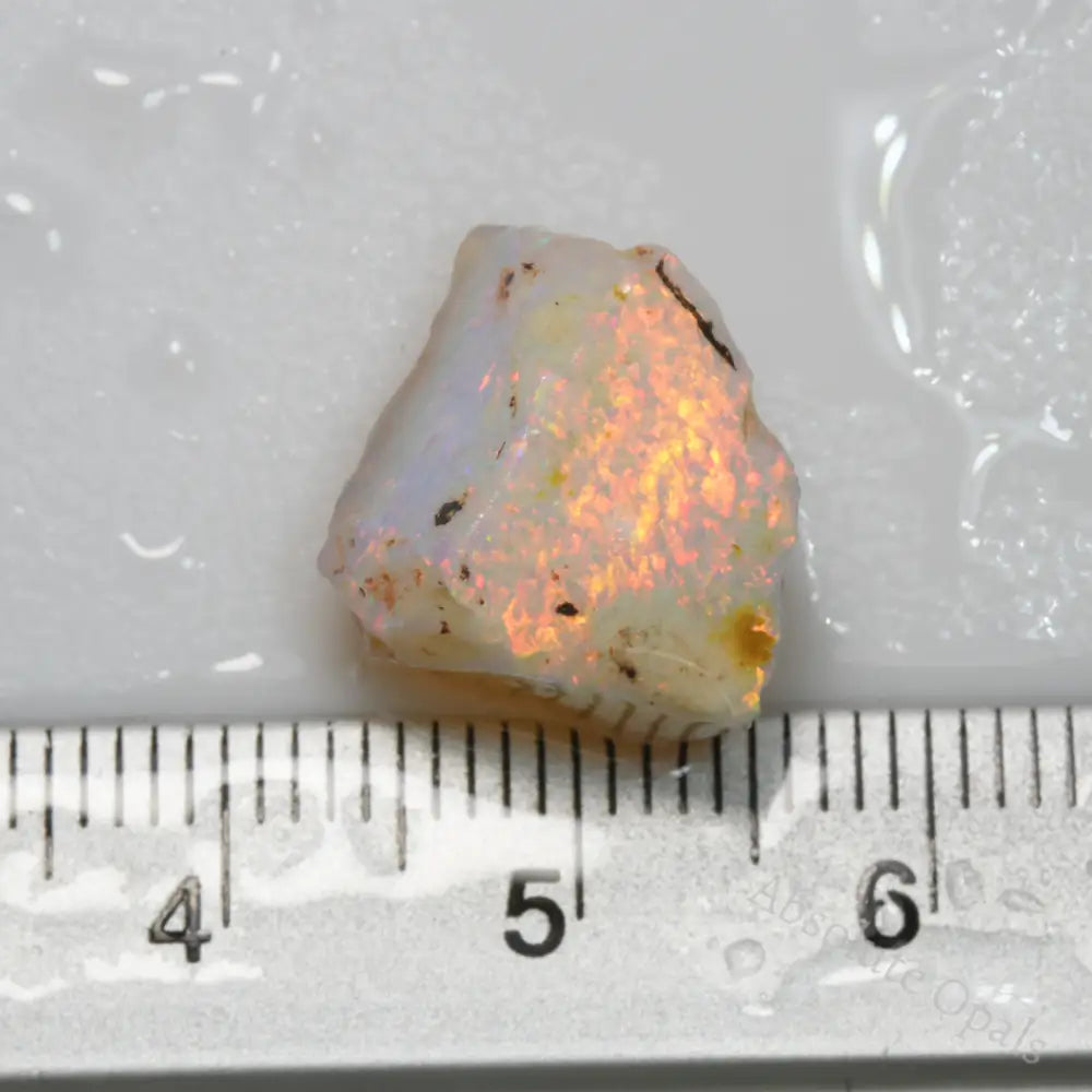 8.6 cts  Rough Opal South Australian