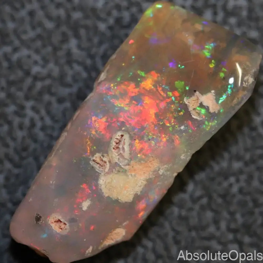 8.80 Cts Australian Opal Rough Lightning Ridge Wood Fossil Polished Specimen