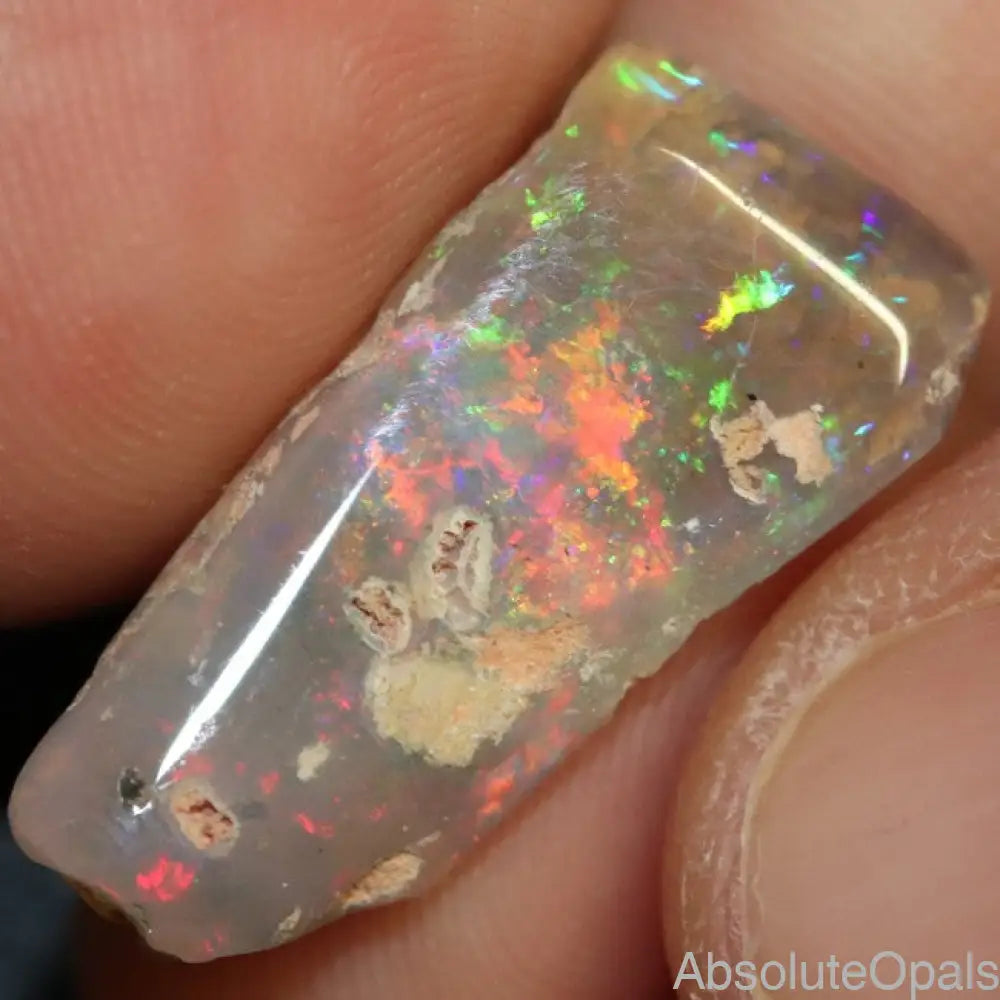 8.80 Cts Australian Opal Rough Lightning Ridge Wood Fossil Polished Specimen