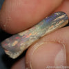 8.80 Cts Australian Opal Rough Lightning Ridge Wood Fossil Polished Specimen