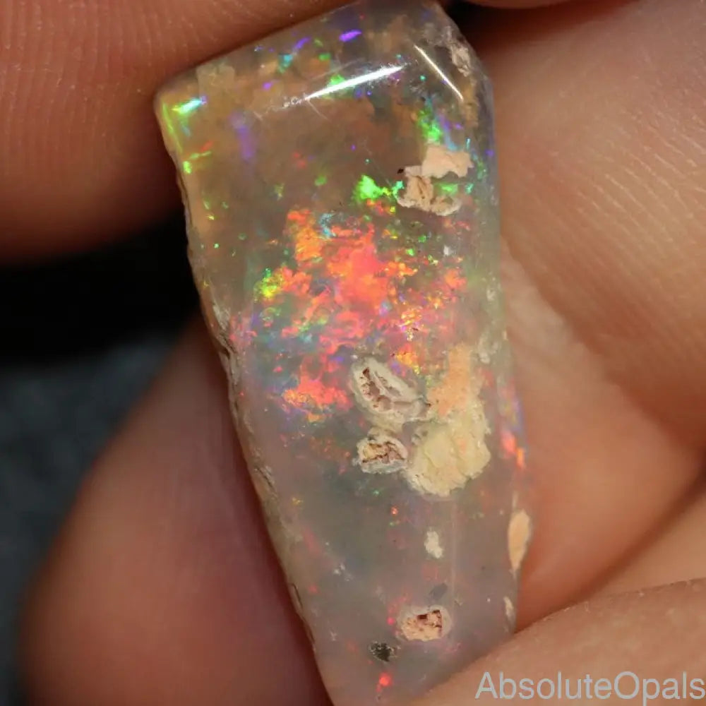 8.80 Cts Australian Opal Rough Lightning Ridge Wood Fossil Polished Specimen