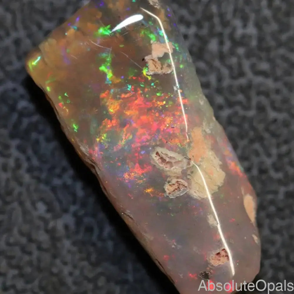 8.80 Cts Australian Opal Rough Lightning Ridge Wood Fossil Polished Specimen