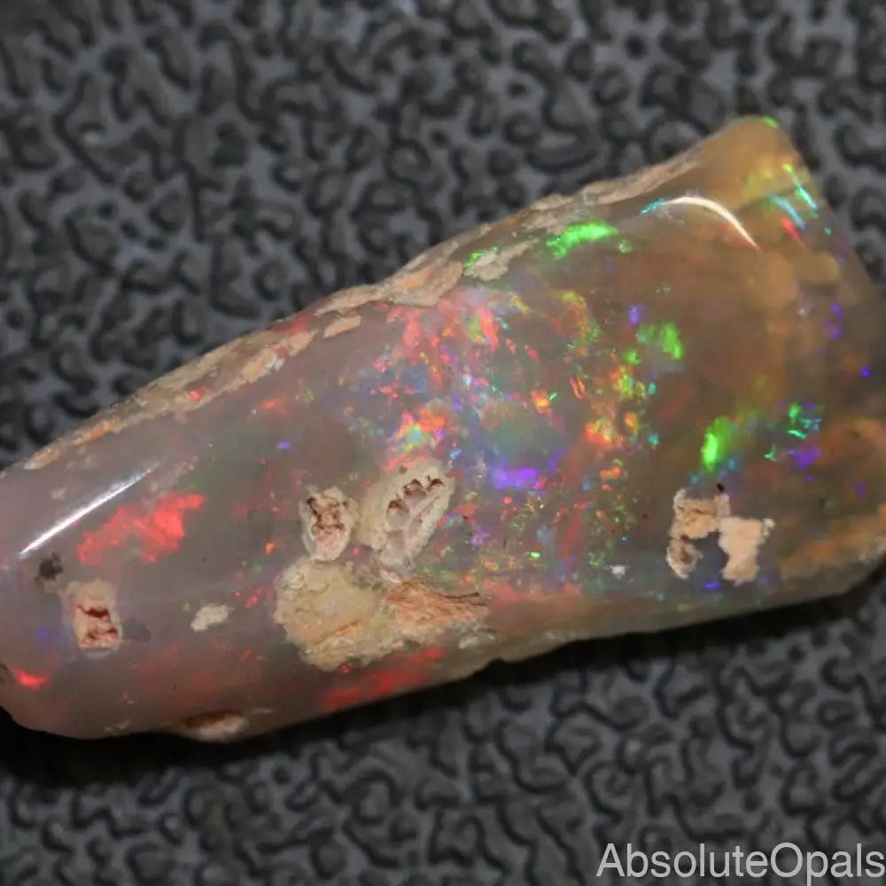 8.80 Cts Australian Opal Rough Lightning Ridge Wood Fossil Polished Specimen