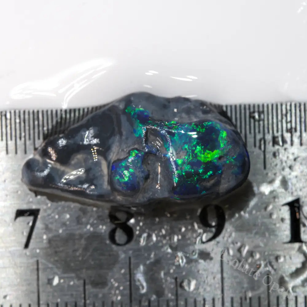 8.80 Cts Australian Rough Black Opal Lightning Ridge For Carving