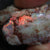 Australian, Semi Black Opal Rough, Lightning Ridge, Gem Stone