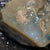 Australian Semi-Black Opal Rough, Lightning Ridge