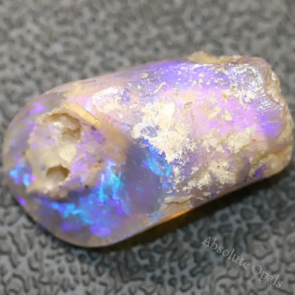 9.48 Cts Australian Opal Rough Lightning Ridge Wood Fossil Polished Specimen