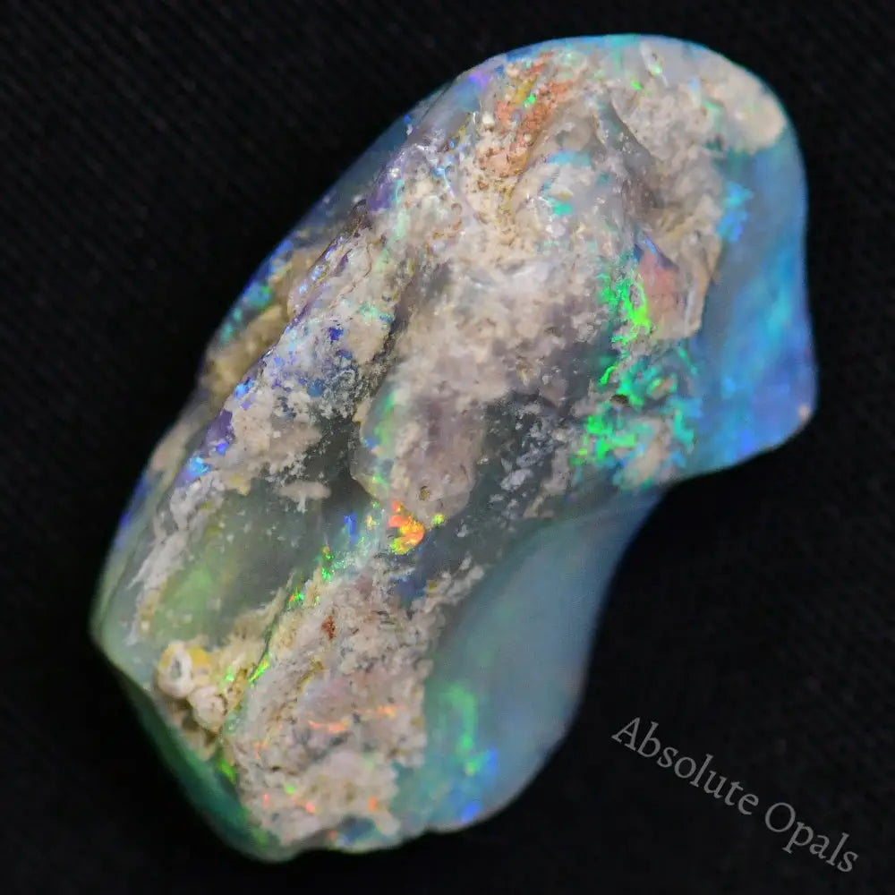 Australian Opal Rough, Lightning Ridge Fossil, Polished Specimen