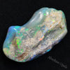 Australian Opal Rough, Lightning Ridge Fossil, Polished Specimen