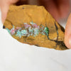 990 Cts Australian Boulder Opal Rough Specimens X 2 Pcs Split