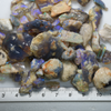 387 cts  Australian Rough Fossils Opal Collection Lightning Ridge -Shell &amp; Plant