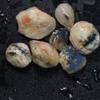 shell opal