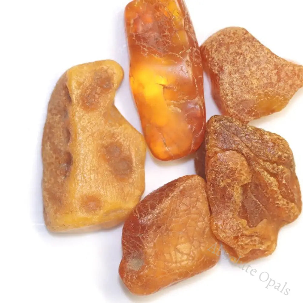 Amber Amber 5 Pcs