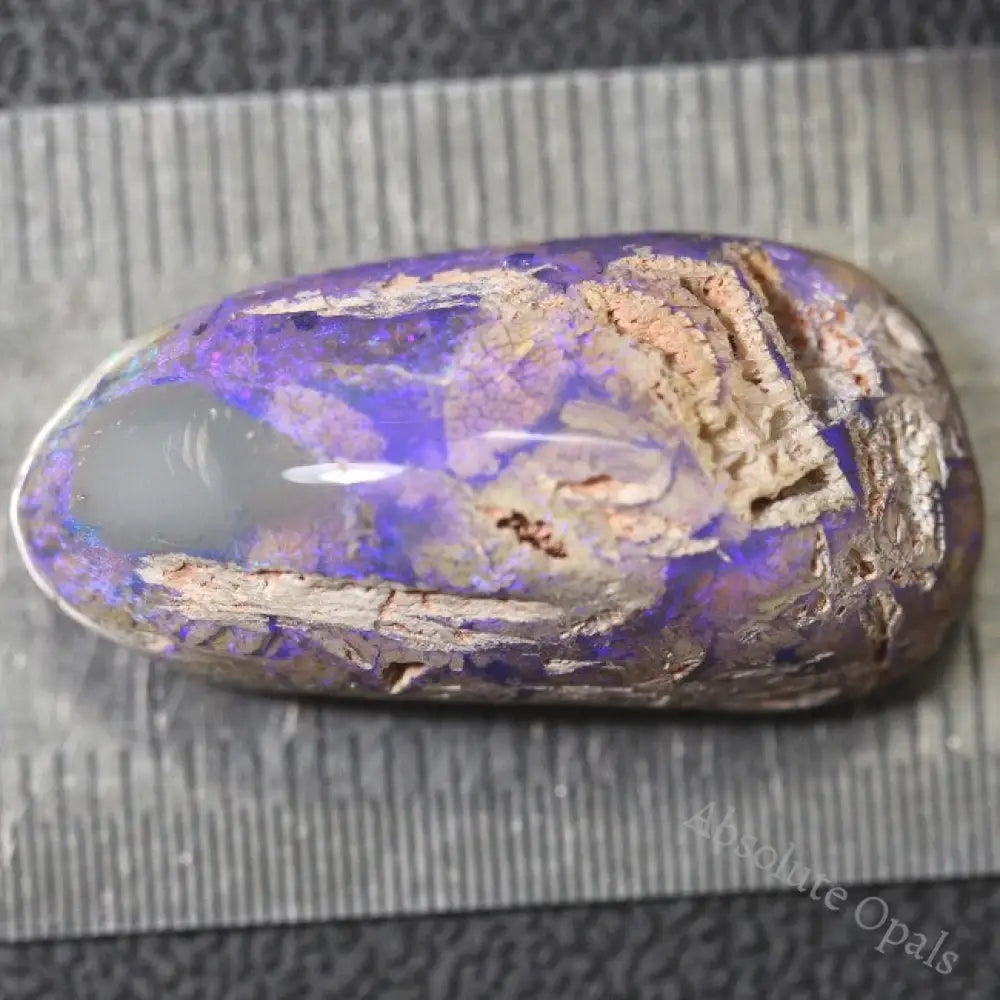 Australian Opal Lightning Ridge Wood Fossil Polished Specimen Rough 25.05 Cts