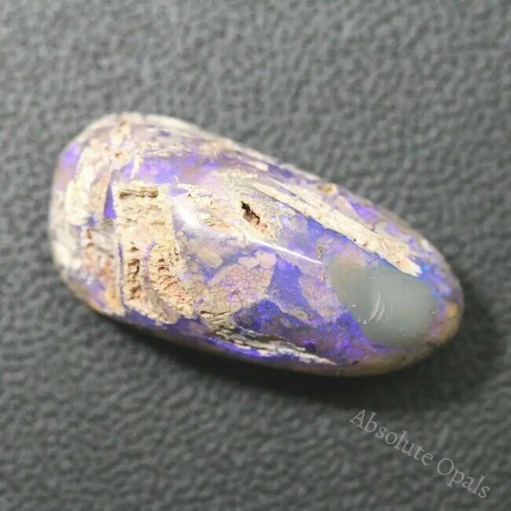 Australian Opal Lightning Ridge Wood Fossil Polished Specimen Rough 25.05 Cts